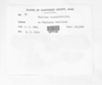 Image Associated With the Occurence